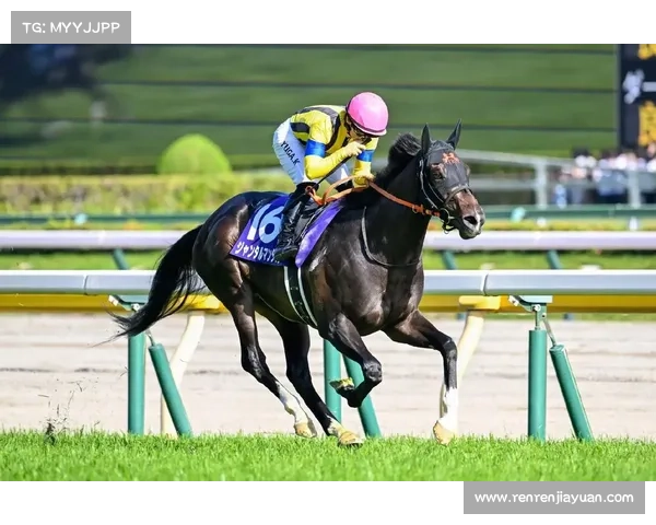 赛马赛事直播—赛马直播j2